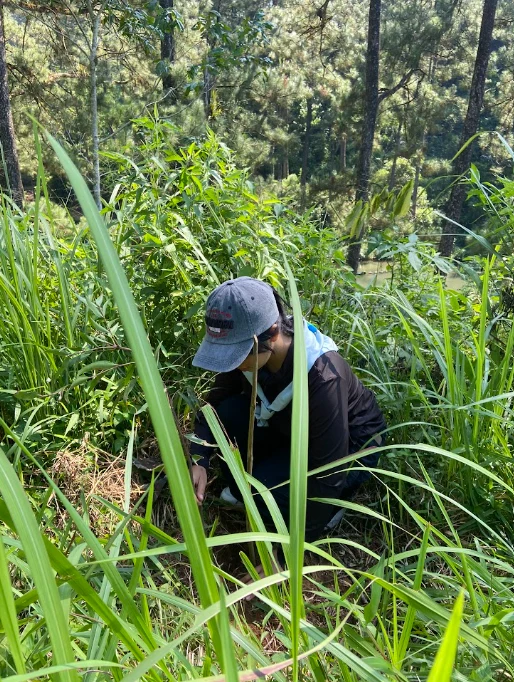 Kegiatan penanaman pohon yang diadakan oleh Wipala dalam rangka peringatan HUT ke-33.